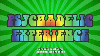 Rebel Chaeper & Walkma Live Experience