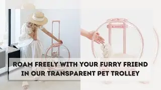 Transparent Pet Suitcase &ndash; Large Capacity Bubble Box for Stylish Pet Travel