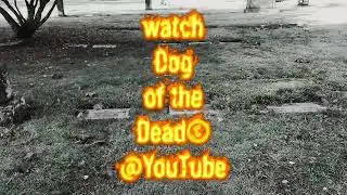 Dog of the Dead© commercial 11/8/25 PDX ABG #cemetery 🤘☠️