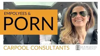 🚗 Carpool Consulting - Employees and Porn!