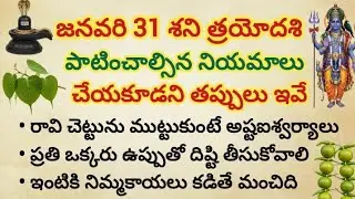 రేపు శక్తివంతమైన శని త్రయోదశి...శని తైలాభిషేకం, శివ పూజ విధానం & తప్పక పాటించాల్సిన నియమాలు #viral