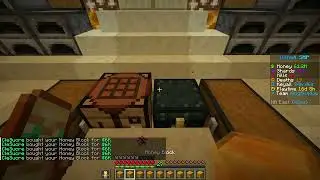 Minecraft - Donut SMP - /AH Honey Block Flipping is Serious. Business.