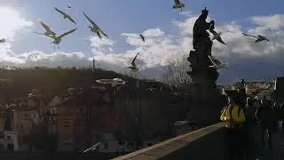 Prague experience (2020)