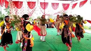 Himachali Natti . From Mandi , Lapas