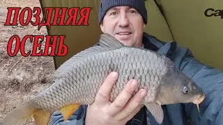 ОТЛИЧНЫЙ КЛЕВ КАРПА В НОЯБРЕ по холодной воде
