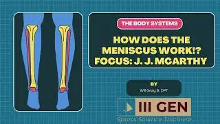 How the Meniscus Tear Impacts the Knee and Minnesota Vikings QB?: J.J. McCarthy&rsquo;s Injury Crisis