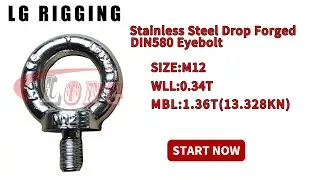 LGRIG&reg; Break Test M12 Stainless Steel Drop Forged DIN580 Eyebolt