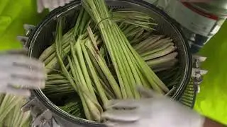 Lemongrass Oil Extraction