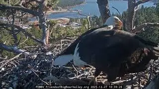Jackie is good, fishing line gone | 12.27.25