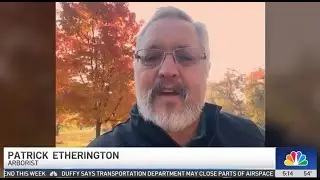 New Warning About 'Zombie Trees' in Chicago