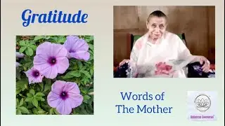 GRATITUDE ( AWM 3) II Words of The Mother II Maa II Sri Aurobindo II New Year II Mothers Symbol