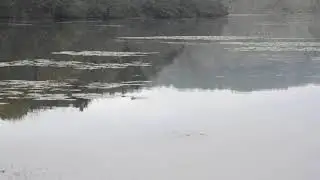 Beautiful Pennsylvania: Canoe Lake, Blair County