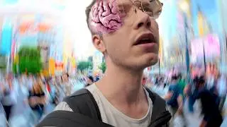Представляем вам страну с самым высоким IQ 🧠 в мире