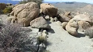 7. The Eldorado Mountains