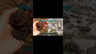 Hailstorm in Lesotho-Learning to start over on a farm