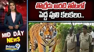 తొర్రేడు అరటి తోటలో పెద్ద పులి కలకలం.. | East Godavari | Prime9 News