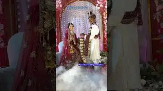 director of real fools shorts wedding #shorts #youtubeshorts #shortsfeed #surajrox #realfools