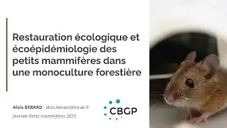 JPM2025-Berard