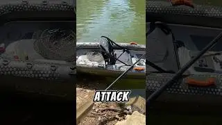 Is the Wilderness Systems iAtak 110 Worth It?