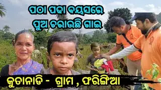ପାଠ ପାଠ ବୟସରେ || Kutanadi Village || Palaburudi ||  Phiringia || Kandhmal || Help India Odisha 