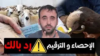 دعم الكساب 💵 واش الخلاص على الاحصاء ولا الطانكة🔴 رد بالك و حذاري🐏🚨