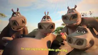 Moto Moto, man ska va tjock! Madagaskar 2