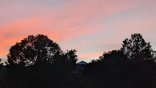 ⚡ Lightning Goats ⚡ Live Goat Feeder