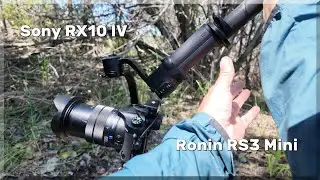 Sony RX10 IV - Video Stabilizers - Monopod, Tilt Head, and Gimbal