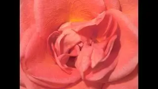 Grace Jones - La Vie En Rose (Hendrik 4000 instrumental re-edit, sorry, no Grace Jones in this one)