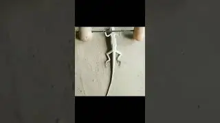 shit post status