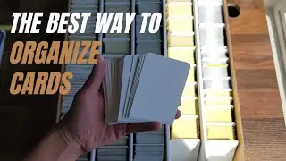The Best Way To Label And Organize Your Cards! BCW Card Dividers