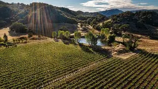 California Wine - Where Tradition Meets Innovation in Wine with Sofia Rivier of Ettore & Terra S&aacute;via