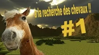 &agrave; la recherche des chevaux !!