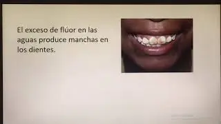 HALOGENOS