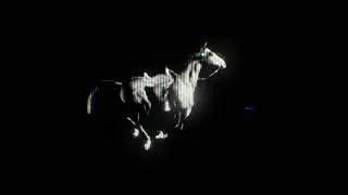 IMO INTRO/LOGO 1
