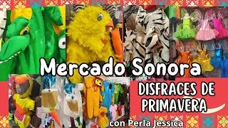 Disfraces de Primavera/Mercado Sonora/León, cocodrilos, conejos, Mariposas, Catarinas, etc. 💐💯🌼💐