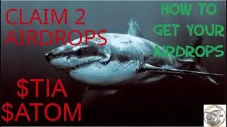 CLAIM 2 Airdrops $TIA & $ATOM Stakers Airdrop + HYPERLIQUID Token Airdrop |  #airdrop #tia  #atom