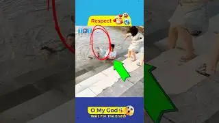 A Stranger Helped Me&hellip; The Ending Shocked Everyone!😱🫶❤️