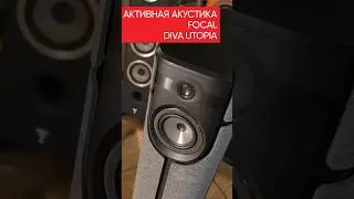 Focal Diva  #audiotechnique #audioequipment #hifi #music #аудиофил #колонки