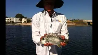bream on surface lures