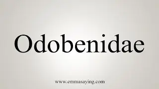 How To Say Odobenidae