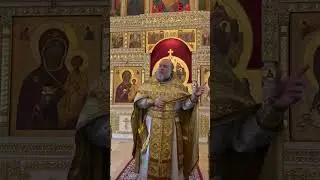Проповедь. Неделя 13-я по Пятидесятнице, Мф.21:33&ndash;42 (зач. 87). Прот. Алексей Потокин