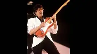HANK MARVIN - Shadows 