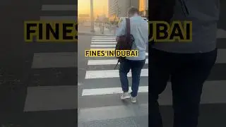 Fines in Dubai #zebracrossing #dubairules #penalty #driving #roadsafety #marathi #maharashrian