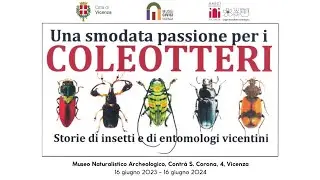 Mostra &ldquo;Una smodata passione per i coleotteri: storie di insetti e di entomologi vicentini&rdquo;