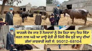 ਬਾਹਰਲੇ ਦੇਸ਼ਾਂ ਵਿੱਚ ਜਾਣ ਦੀ ਬਜਾਏ ਬਾਪੂ ਨੌਜਵਾਨਾਂ ਨੂੰ ਕਰ ਰਿਹਾ ਹੈ ਪ੍ਰੇਰਤ ਇਹ ਕਿੱਤਾ ਕਰਨ ਨਾਲ ਘਰੇ ਆ ਜਾਊ ਬੈਂਕ