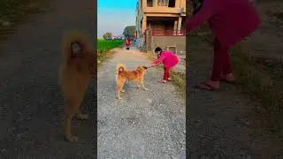 Ui amma hai hai main toh margayi 🥰😜 #shorts #viral #trending #ytshorts