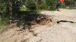 Dent Ripper sur ma petite HT08 / arracher une souche