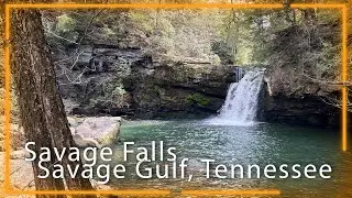 Backpacking In Savage Gulf - South Rim To Savage Falls And Stagecoach Campground!