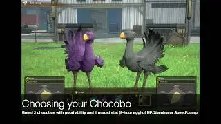 FF7FS How to get the Ultimate Chocobo